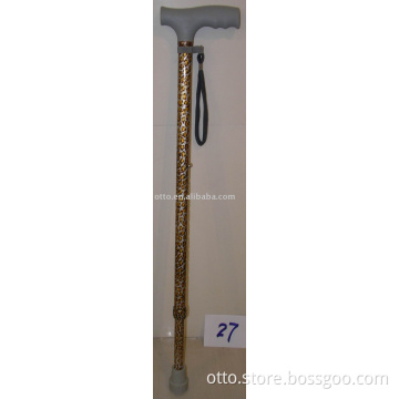walking stick
